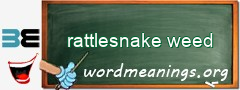 WordMeaning blackboard for rattlesnake weed